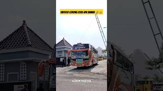 Telolet Alzifa Bus New Ghozali Trans 