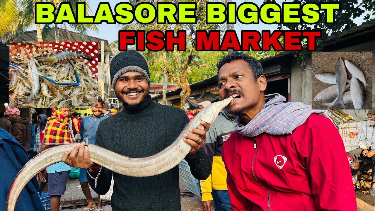 ବାଲେଶ୍ୱରର ସବୁଠାରୁ ବଡ଼ ମାଛ ବଜାର😳 | Village macha bala | 
