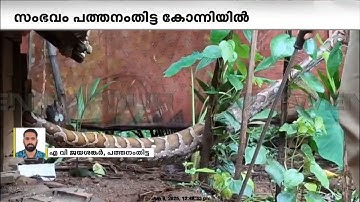 പത്തനംതിട്ട കോന്നി കുളത്തുമണ്ണിൽ വീടിന്റെ കോഴിക്കൂട്ടിൽ നിന്നും പെരുമ്പാമ്പിനെ പിടികൂടി
