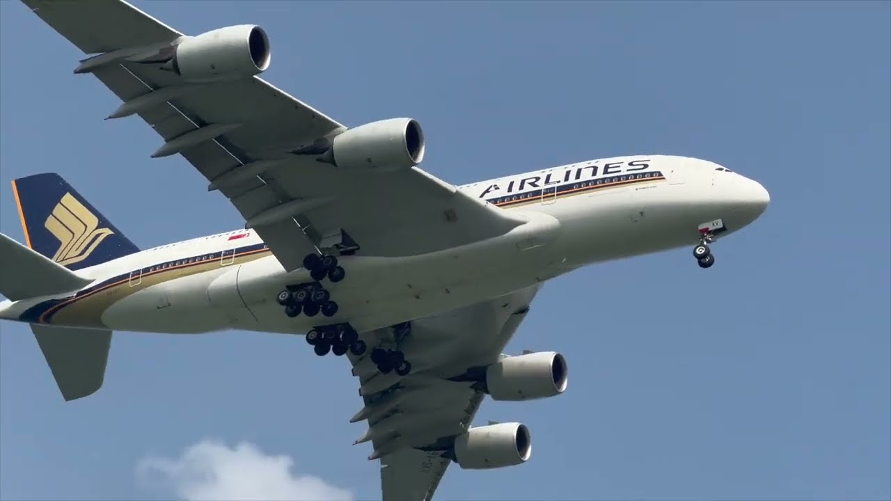 36 Planes Landing Planespotting Changi Beach Airplanes Landing Airbus A380 and more
