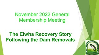 Elwha River Recovery Following Dam Removal