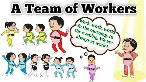 A Team of Workers | Std 3 | lesson 22 |Maharashtra State Board | English Medium