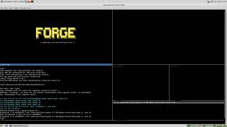 gdbforge — STM32 Nucleo F429ZI: Bare-Metal to Zephyr-Aware Debug