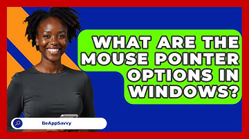 What Are The Mouse Pointer Options In Windows? - Be App Savvy