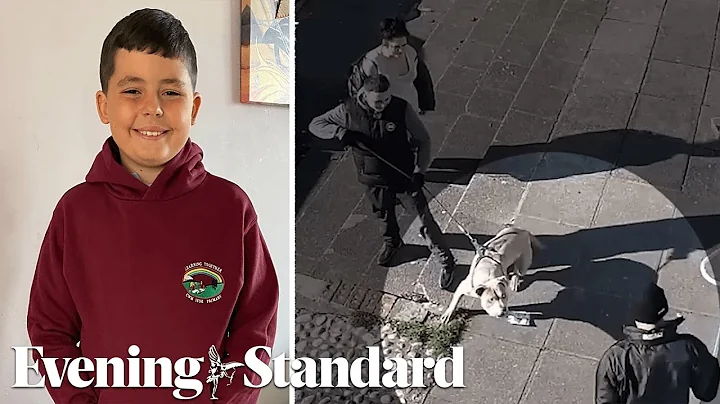 Jack Lis: Pair jailed after boy mauled to death by...