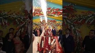 Sarkari Dulha 😍😍#wedding #song #youtubeshorts #love #ytshorts #marriage #shaadi #shorts #bhojpuri