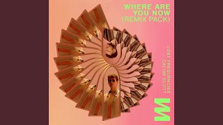 Where Are You Now  (Kungs Remix) - Lost Frequencies & Calum Scott