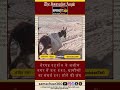 जोधपुर के अजीम नगर में पानी संकट, ग्रामीण परेशान