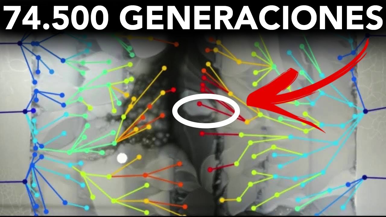 El Experimento Evolutivo Más Largo del Mundo | Veritasium en español