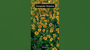 What does ASCII stand for?