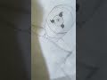 #learning of Obito drawing #