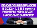 Пенсия по инвалидности  в 2022 году для 1, 2 и 3 группы размеры, кому дадут и на сколько вырастет