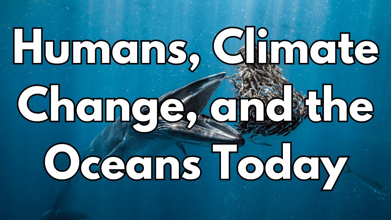 Человек, изменение климата и океаны сегодня