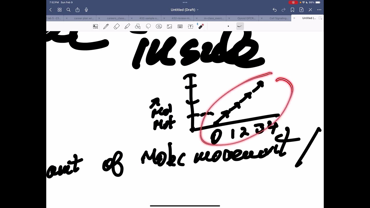Nernst Equation for Equilibirum Potential as a Quicksketch Explanation 2 9 2025