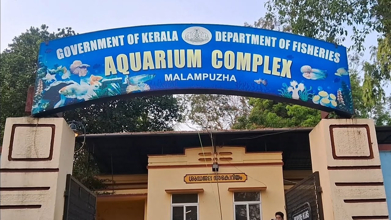 Malampuzha Aquarium Palakkad | Beautiful Underwater World in Kerala 🐠
