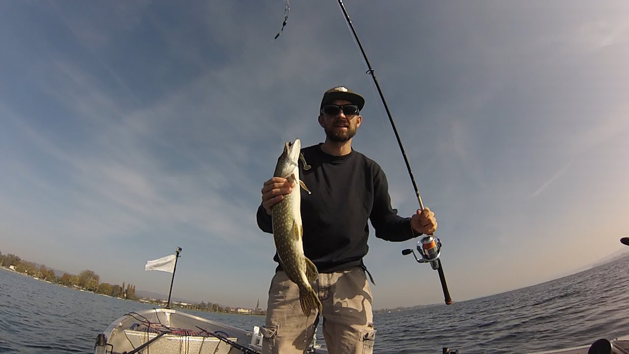 #3/2018 - Hechtangeln im Oktober am Bodensee - Livebisse