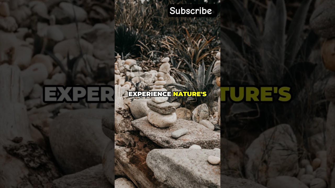 10 Must Visit Places in Malvan for 2025 