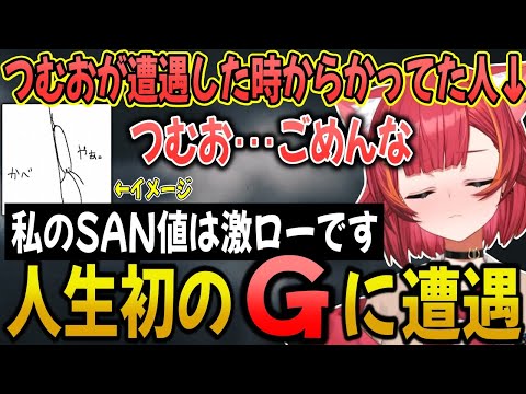 リアルでクソデカGと対面し、配信前からSAN値が限界の猫汰つな【猫汰つな/ぶいすぽ/切り抜き】