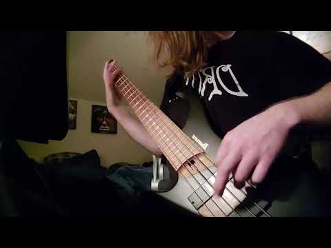 Cannibal Corpse - The Wretched Spawn (bass cover)