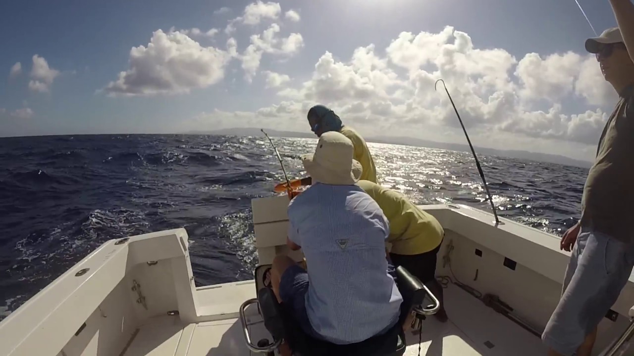 Marlin Madness Jamaican Fishing Excursion GoPro YouTube