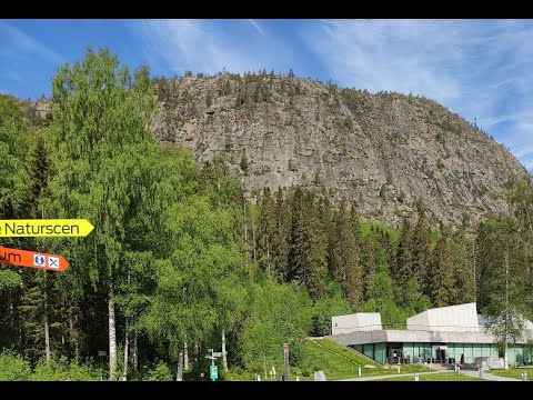 SKULEBERGET 'Vita leden'