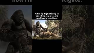 When my dog is chewing on something suspicious
