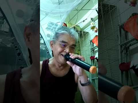 原鄉情歌