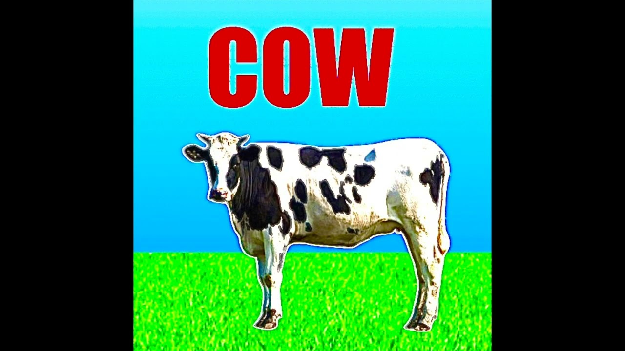 COW VS The Meatball rap battle - VIRTUAL CHARLES