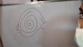 Plain Whorl