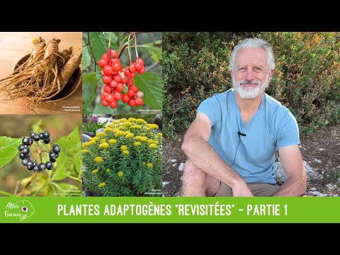 Vidéo: Gestion des plants de vergerette - En savoir plus sur les méthodes de contrôle de la vergerette