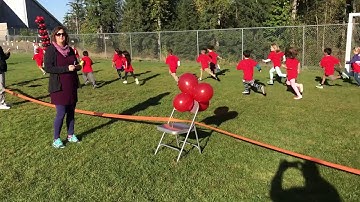 Orbiter Sparky Sling