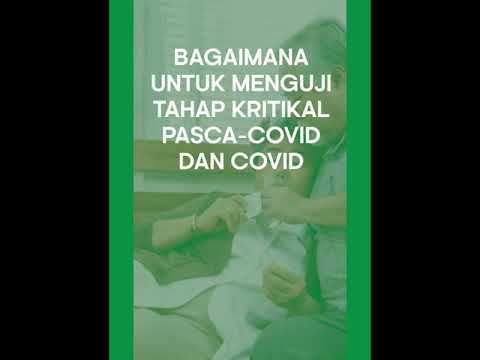 Video: 3 Cara Mendapatkan Bantuan Kewangan di A.S. Semasa Wabak Coronavirus