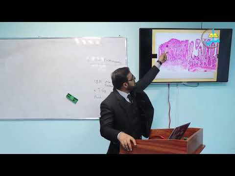 سندروم سو جذب مرض سیلیاک    0