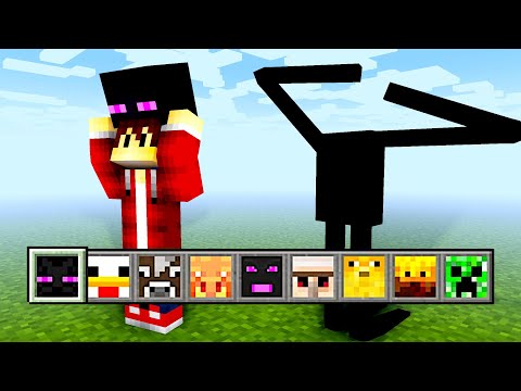 Minecraft ABER mit