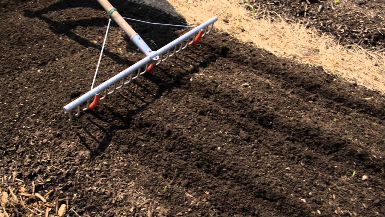 The Best Way To Plant Green Beans This Summer Martha Stewart YouTube