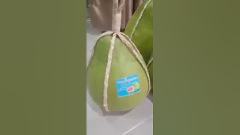 Cung cấp cây giống BƯỞI RUBY THÁI LAN... Cam kết chuẩn giống...0356206882_ 0705783083