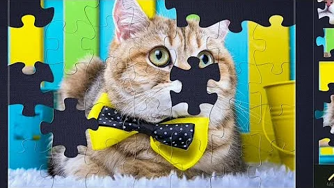 Magic Jigsaw Puzzles: Cat Wearing a Bow Tie Gameplay