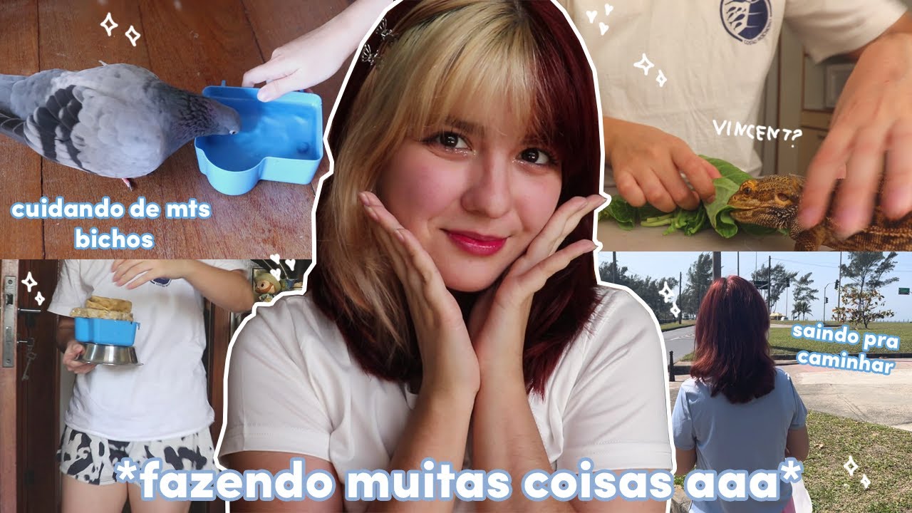 minha rotina DIÁRIA com +50 pets (tentando ter um dia produtivo)