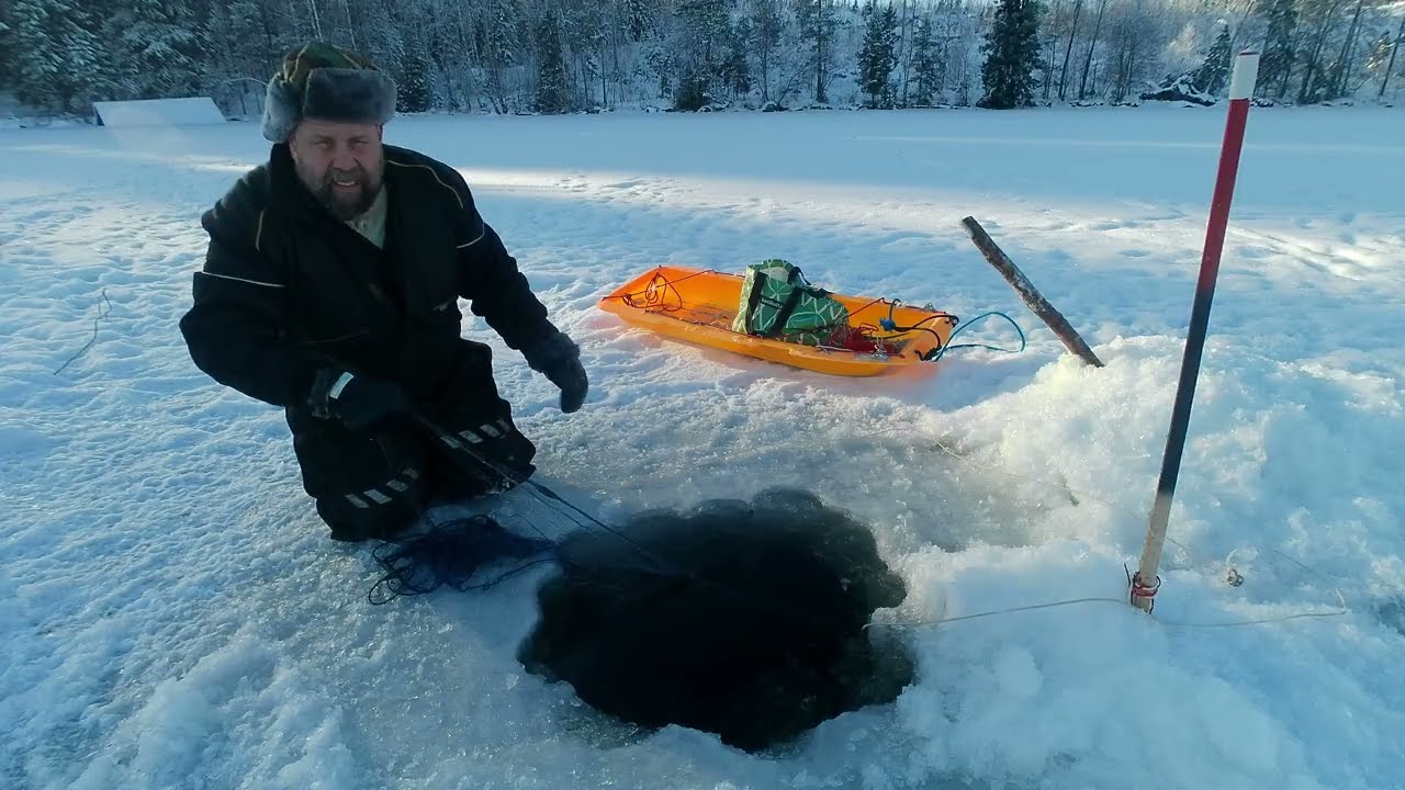 Talviverkoilla, Kyllä vastustaa