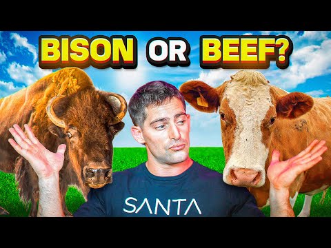 BISON or BEEF?