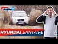 HYUNDAI SANTA FE II Niedoceniany Koreańczyk Lepszy Od Innych SUV ów Test OTOMOTO TV 