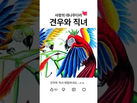 학생이 만든 사랑의 대나무다리 thumbnail