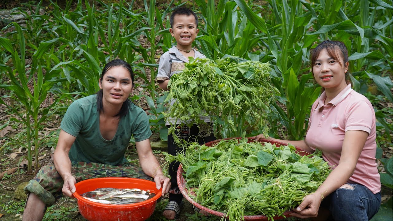 Harvest carp and vegetables to sell at the store, farm life, SURVIVAL ALONE