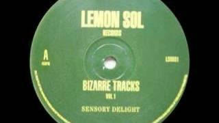 Bizarre Tracks - Sensory Delight [1992]