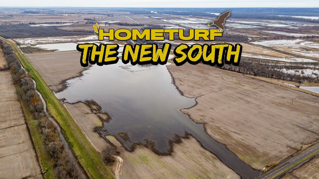 WE BUILT A DUCK REFUGE!! Transforming the New South to Create More Traffic | 