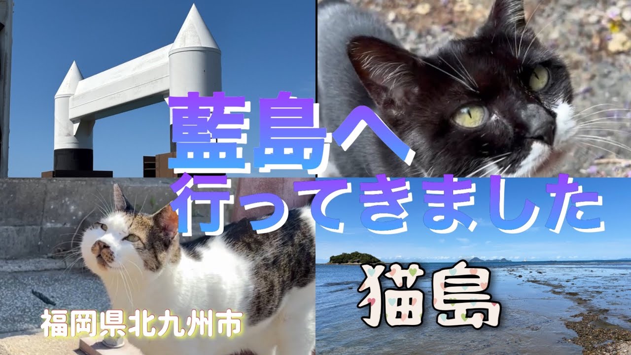 【猫島】藍島(あいのしま)散歩😺