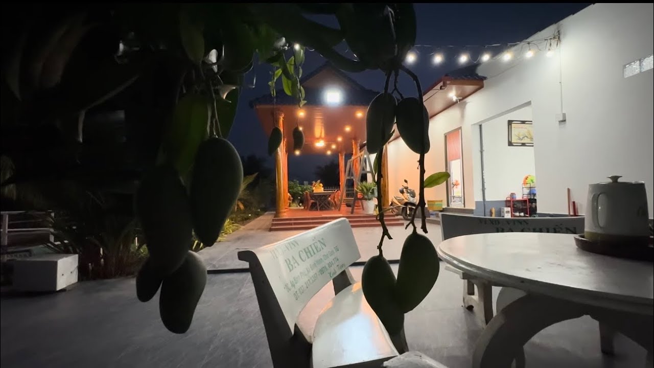 Nhà vườn nhiều loại cây ăn trái ao cá nhà thuỷ tạ