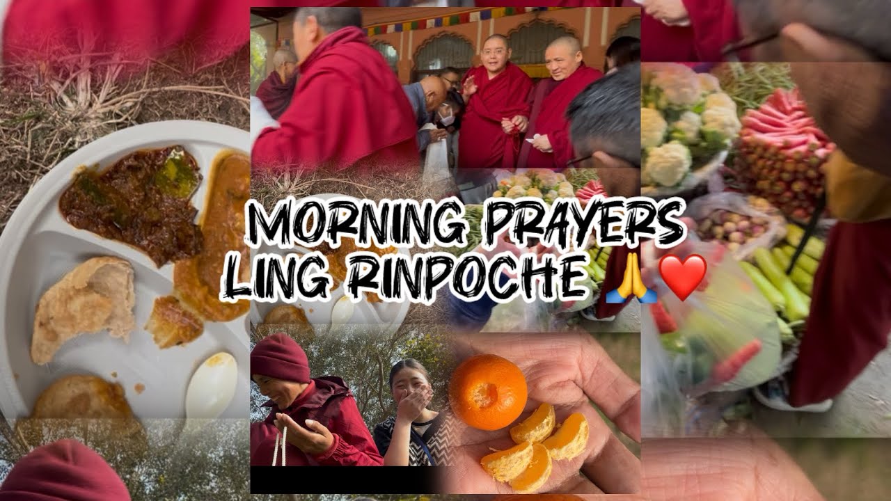 A peaceful day| H. E kyabje yongzin ling rinpoche 🙏❤️ Blessing’s day 🐚💐
