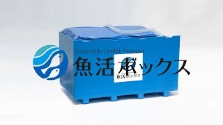 鮮魚じゃなくて活魚！魚活ボックス