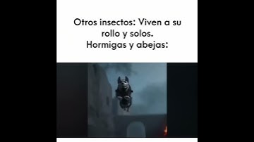 en alcatraz | COD MOBILE #callofduty #codm #cod #reels #codlove #callofdutymobile